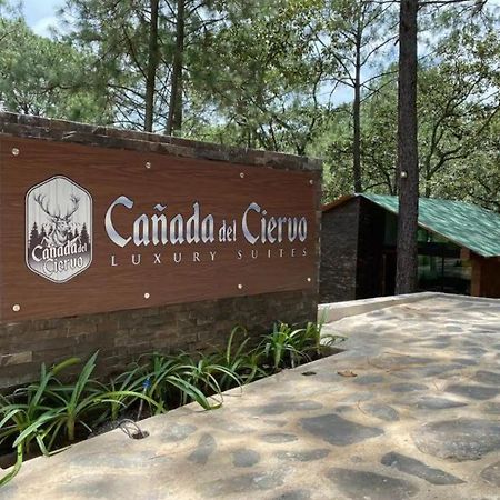 Cabana De Lujo Con Jacuzzi A 10 Min Del Pueblo Mazamitla Exterior foto